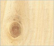 Knotty Pine