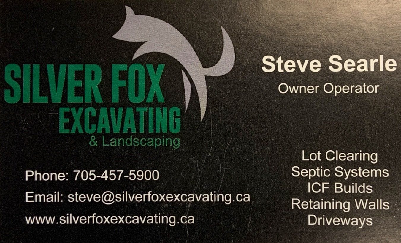Silver Fox
