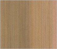 Cedar
